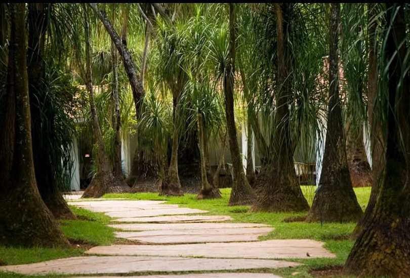 Conexão entre arte e natureza: o paisagismo que encanta nos condomínios