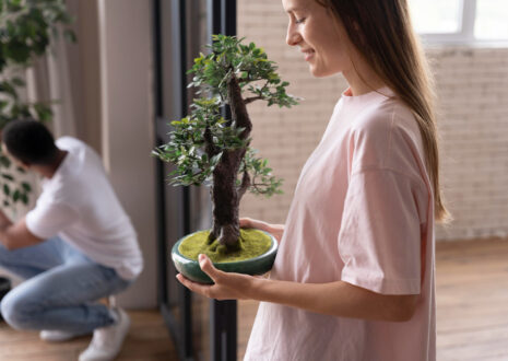 Plantas orientais no apartamento: técnicas e cuidados