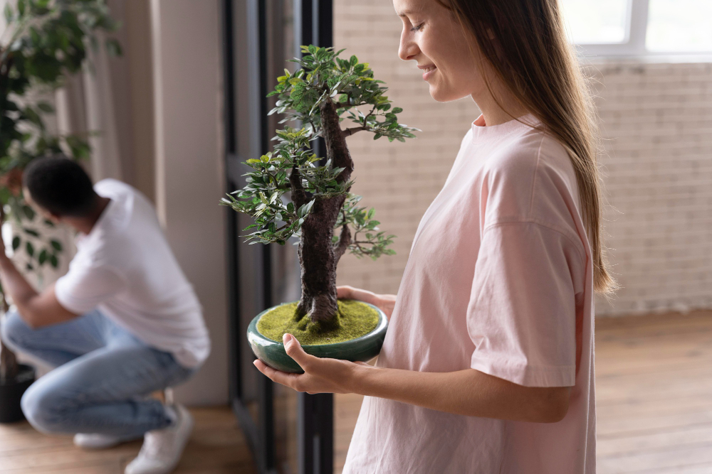 Plantas orientais no apartamento: técnicas e cuidados